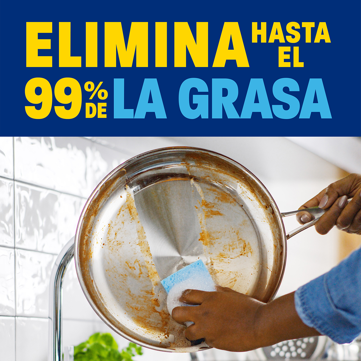 ELIMINA HASTA EL 99 % DE LA GRASA