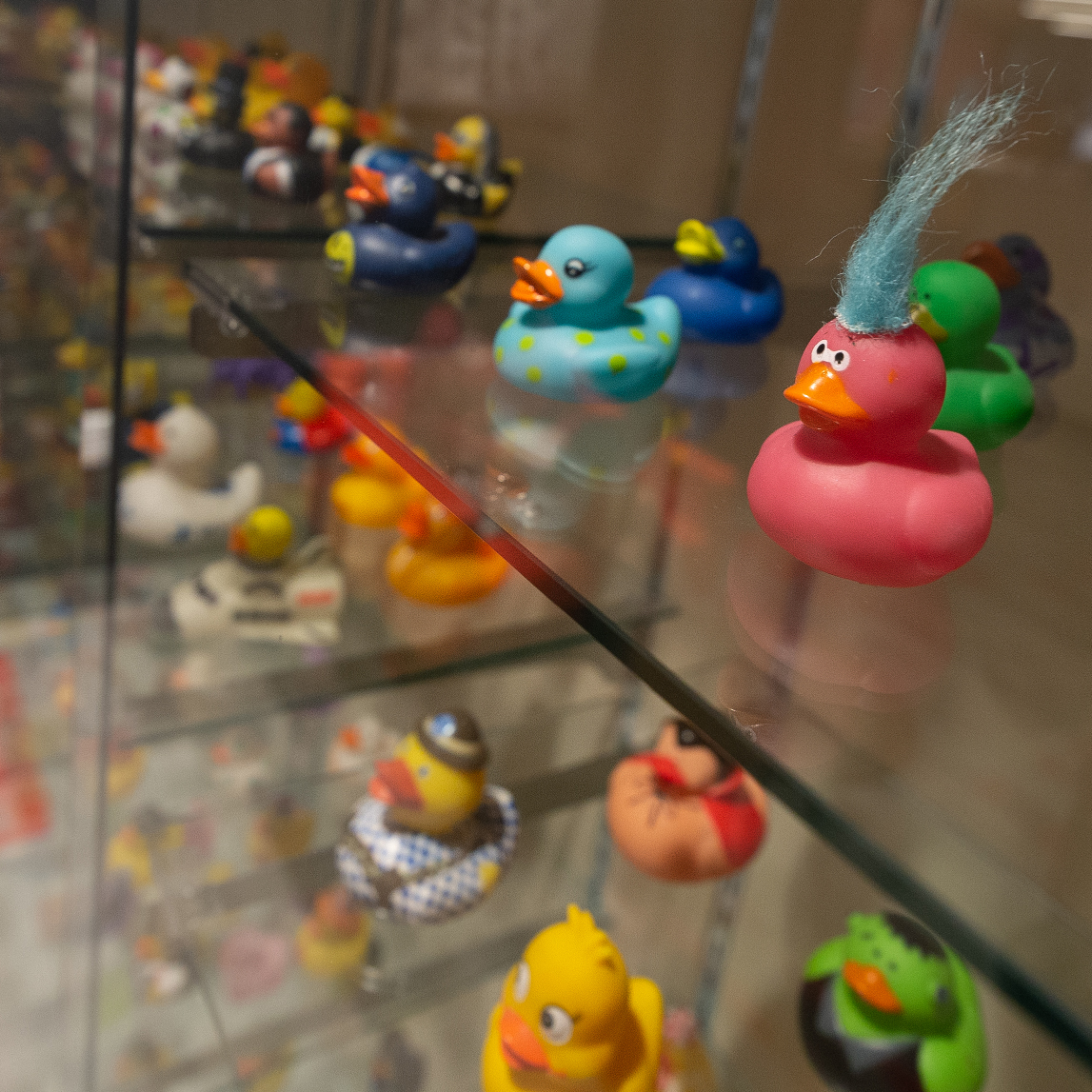 RUBBER DUCKS - International Bowling Museum & Hall of Fame