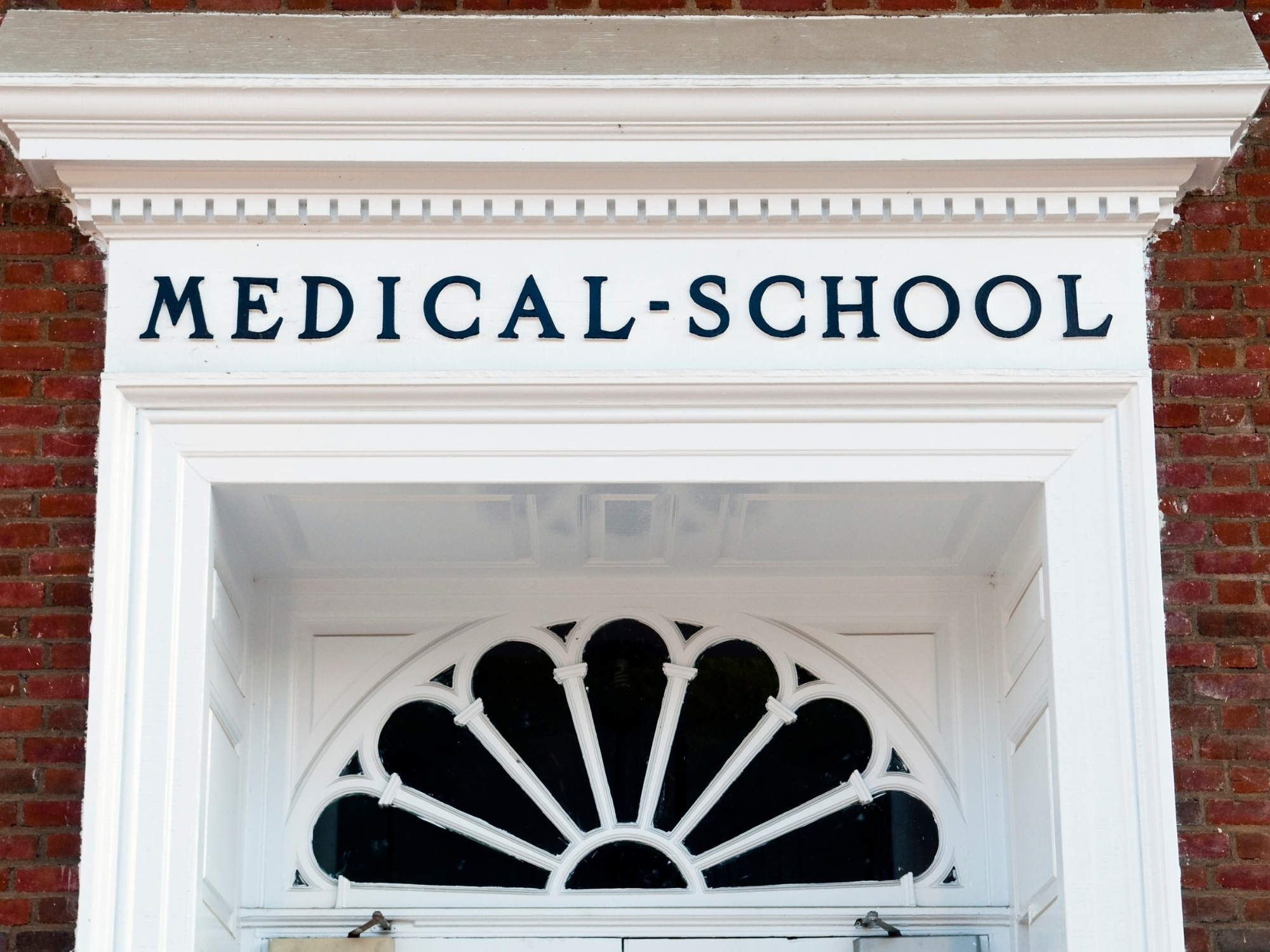 Biomedical Engineering Undergraduate Studies and Programs