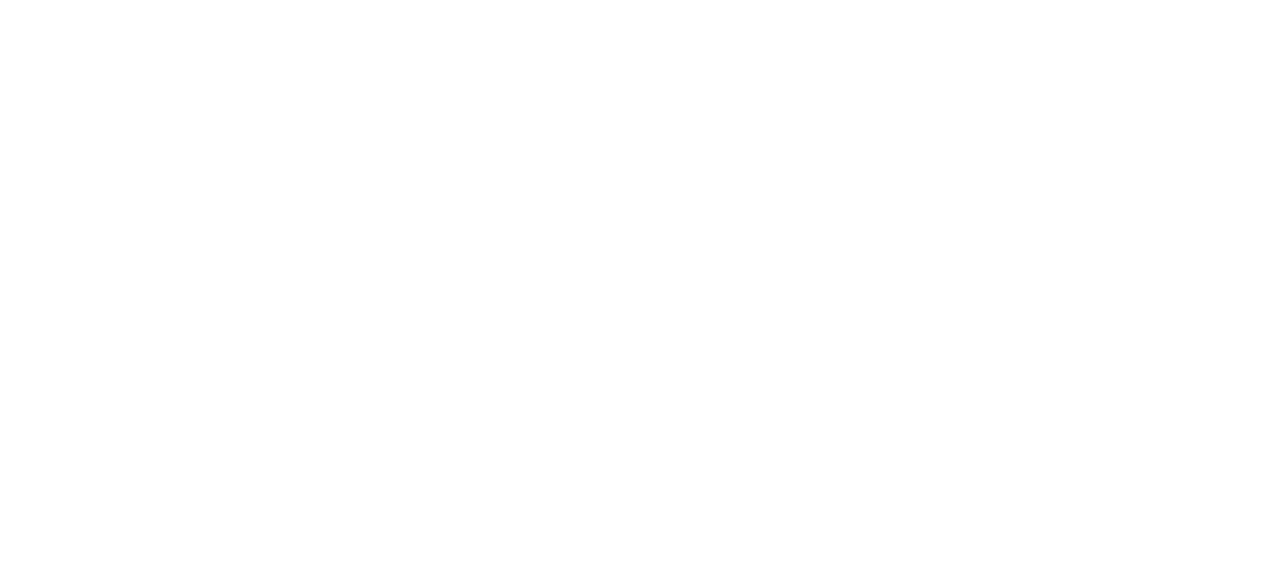 Republic Airways Logo
