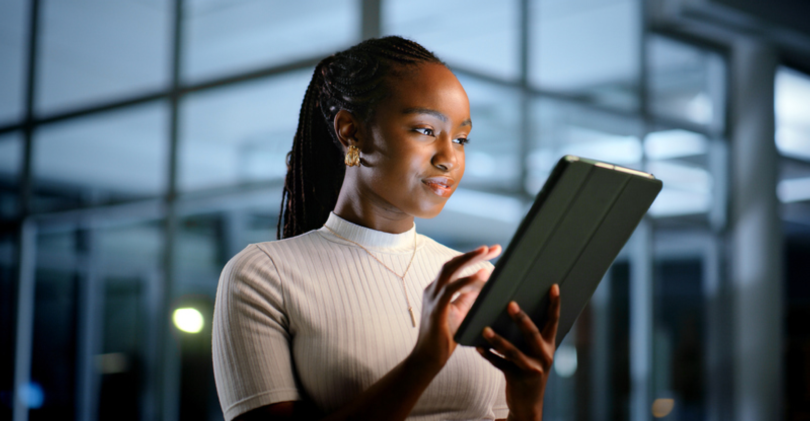 Segmentation-Controls