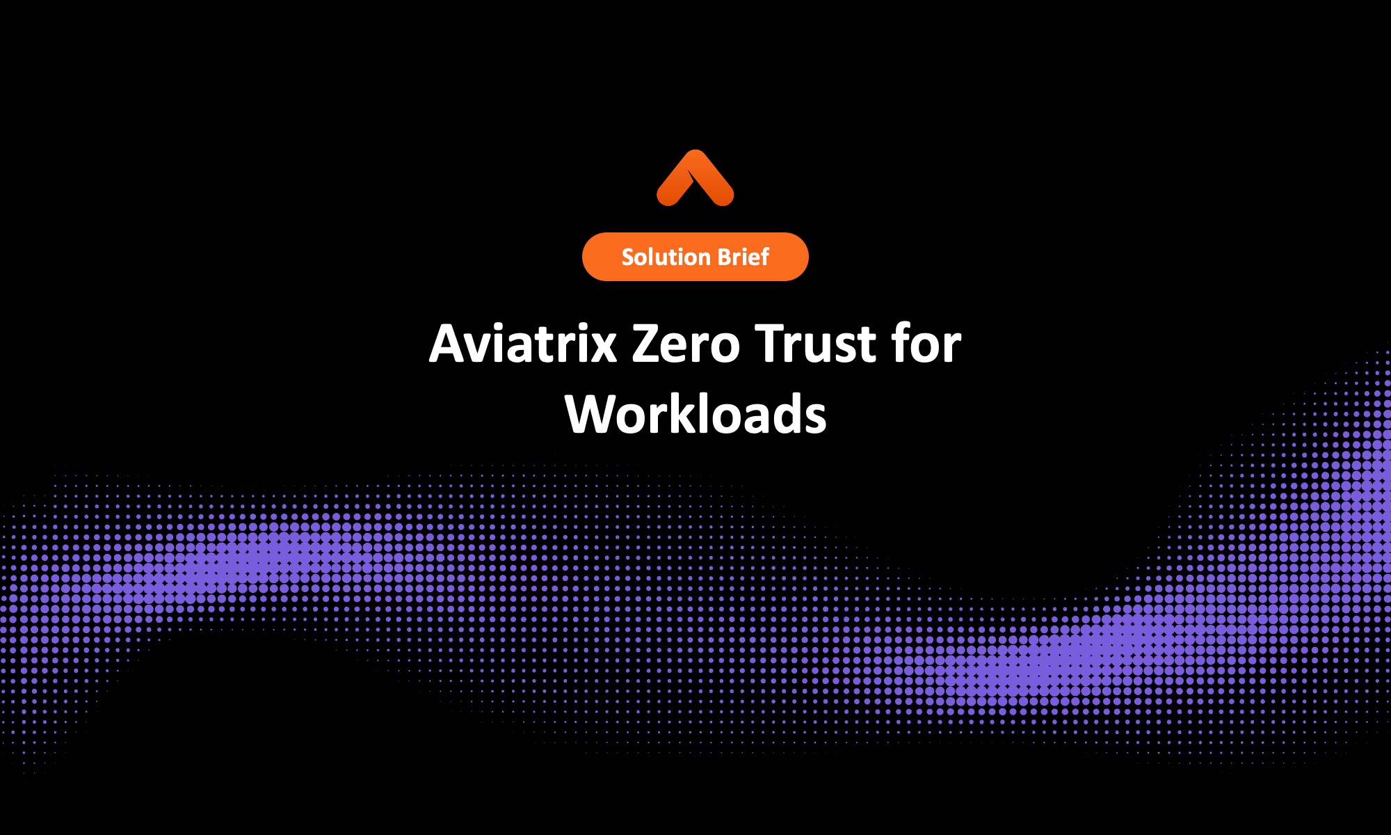 Aviatrix Zero Trust for Workloads Solution Brief