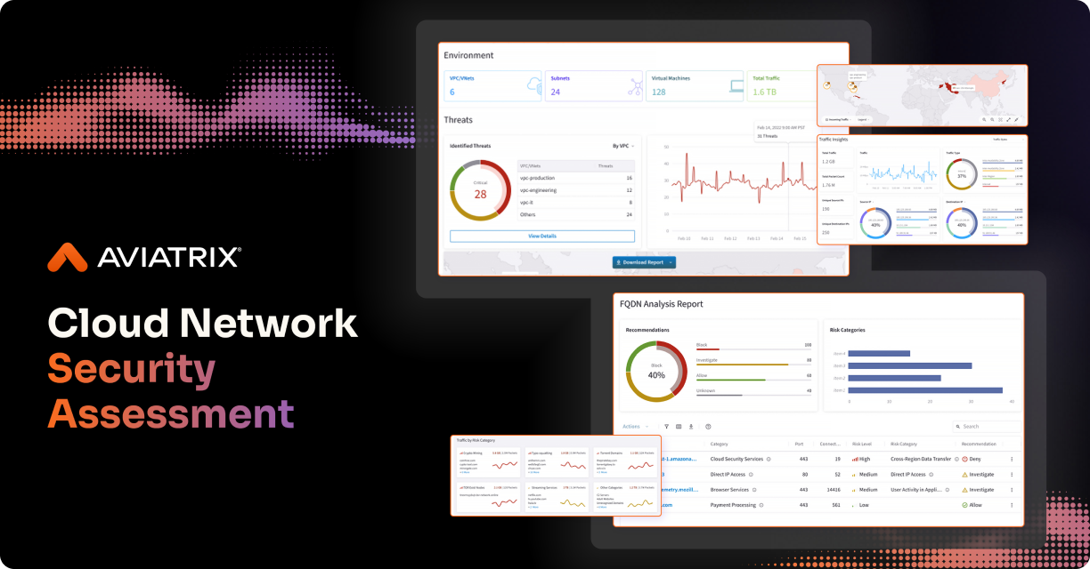security assessment video