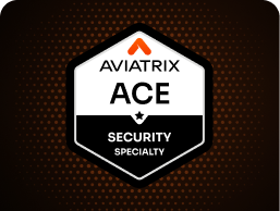 ace security