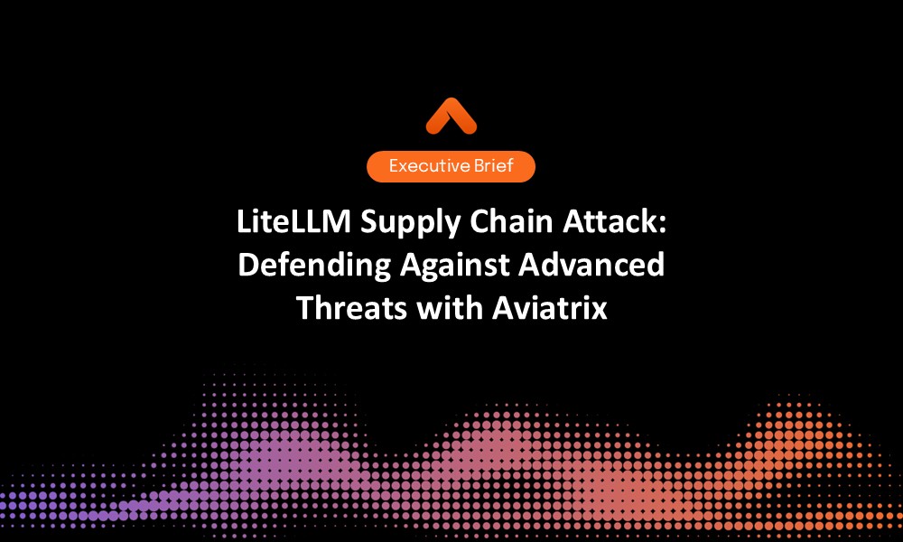 LiteLLM Executive Brief Resource Card