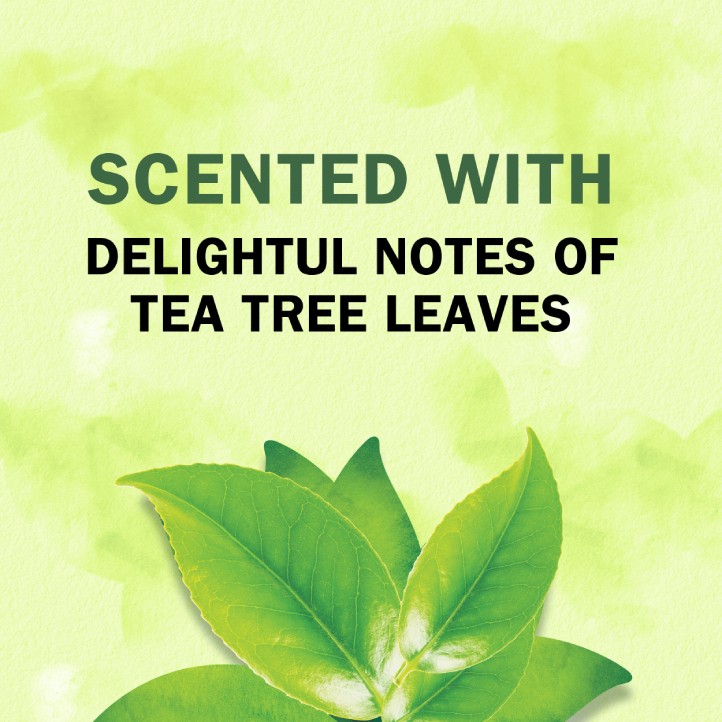 Tea-Lightfully Clean Shampoo & Body wash | Herbal Essences