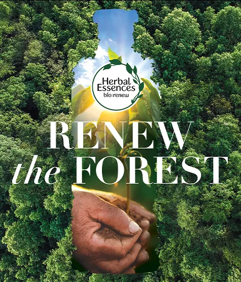 Renew the Forest campaign illustration