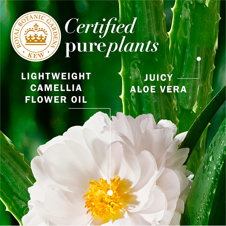 Repairing Leave-in Conditioner with Aloe & Camellia Oil | Herbal