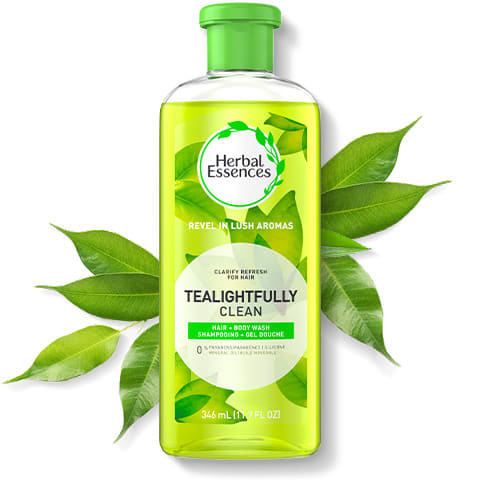 Herbal Essences Touchably Smooth 4個セット Touchable Hold Hairspray with Frizz Control | Herbal Essences