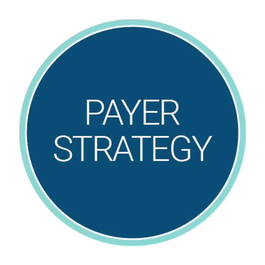 Circular blue logo with a light teal border containing the white title “Payer Strategy” centered inside.