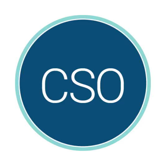 Circular blue logo with a light teal border containing the white acronym “CSO” centered inside.