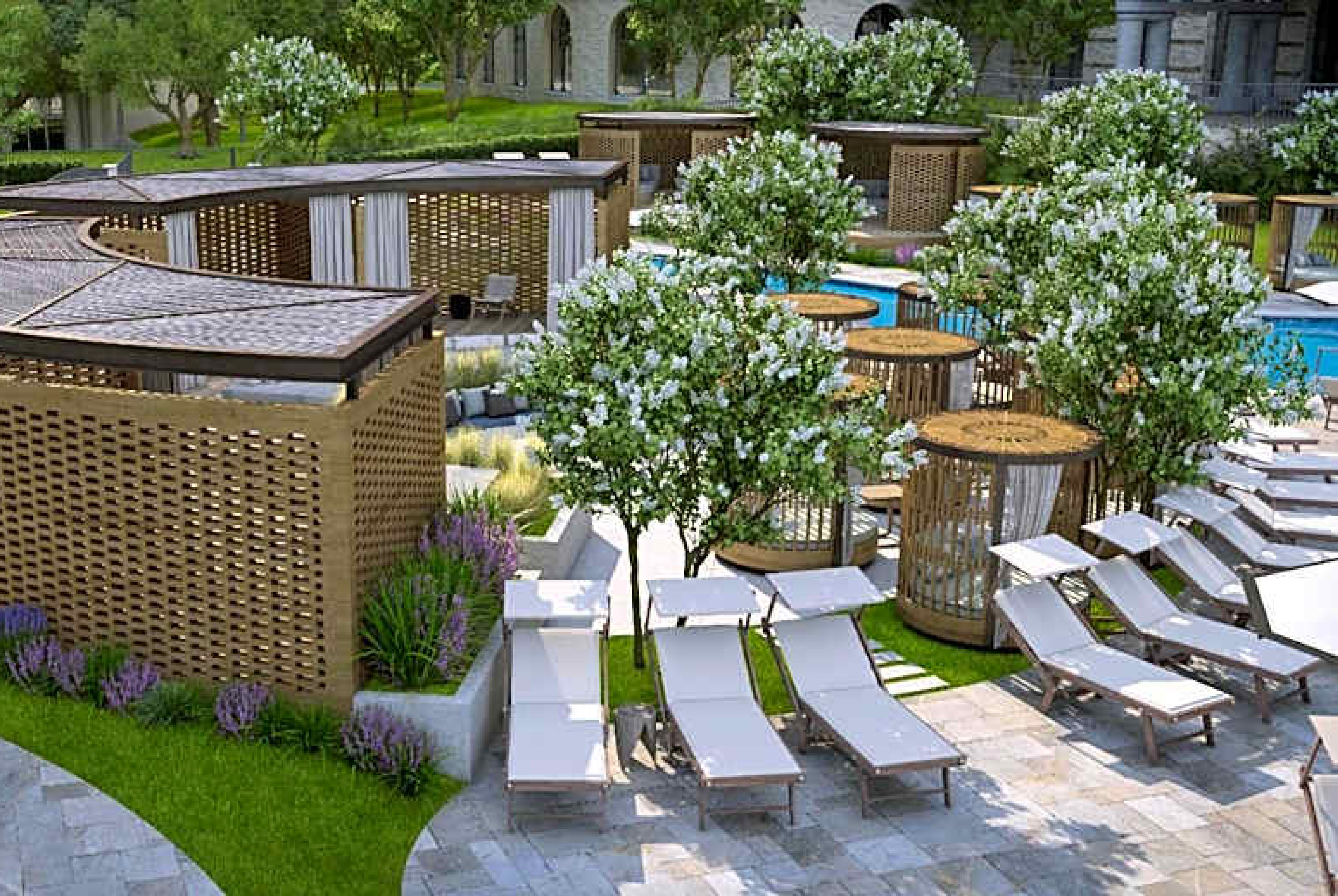 THMA Spring 2026 Chief Physician Executive Forum & Physician Fellow Annual Meeting