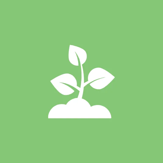 White icon of a plant with three leaves growing from a small mound of soil, set against a green background. 