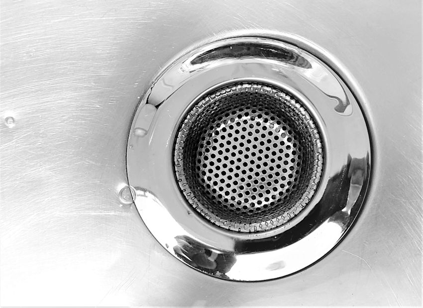 How To Get Rid Of Drain Flies 