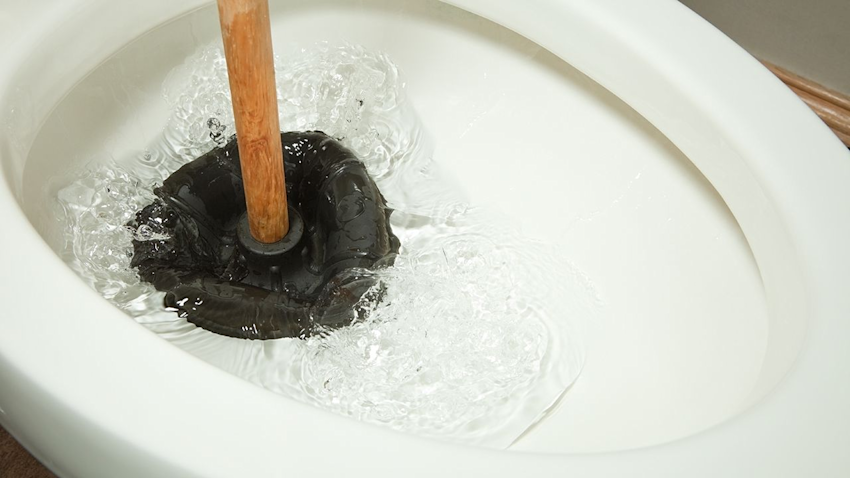 Toilet Not Flushing? How to Unblock a Toilet | Lanes