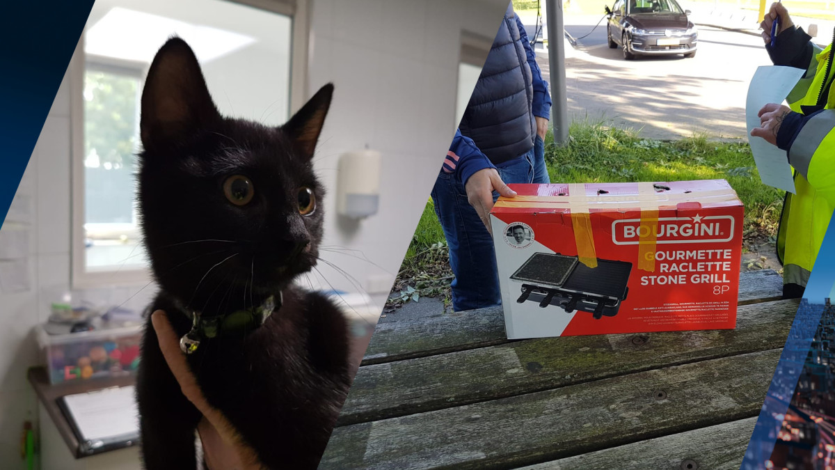 Jong katje als oud vuil achtergelaten in dichtgeplakte doos bij tankstation - Dierenambulance Hoorn
