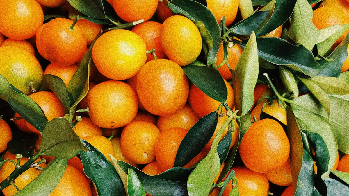 Sinaasappelen, beeld: Pexels/Julie Aagaard