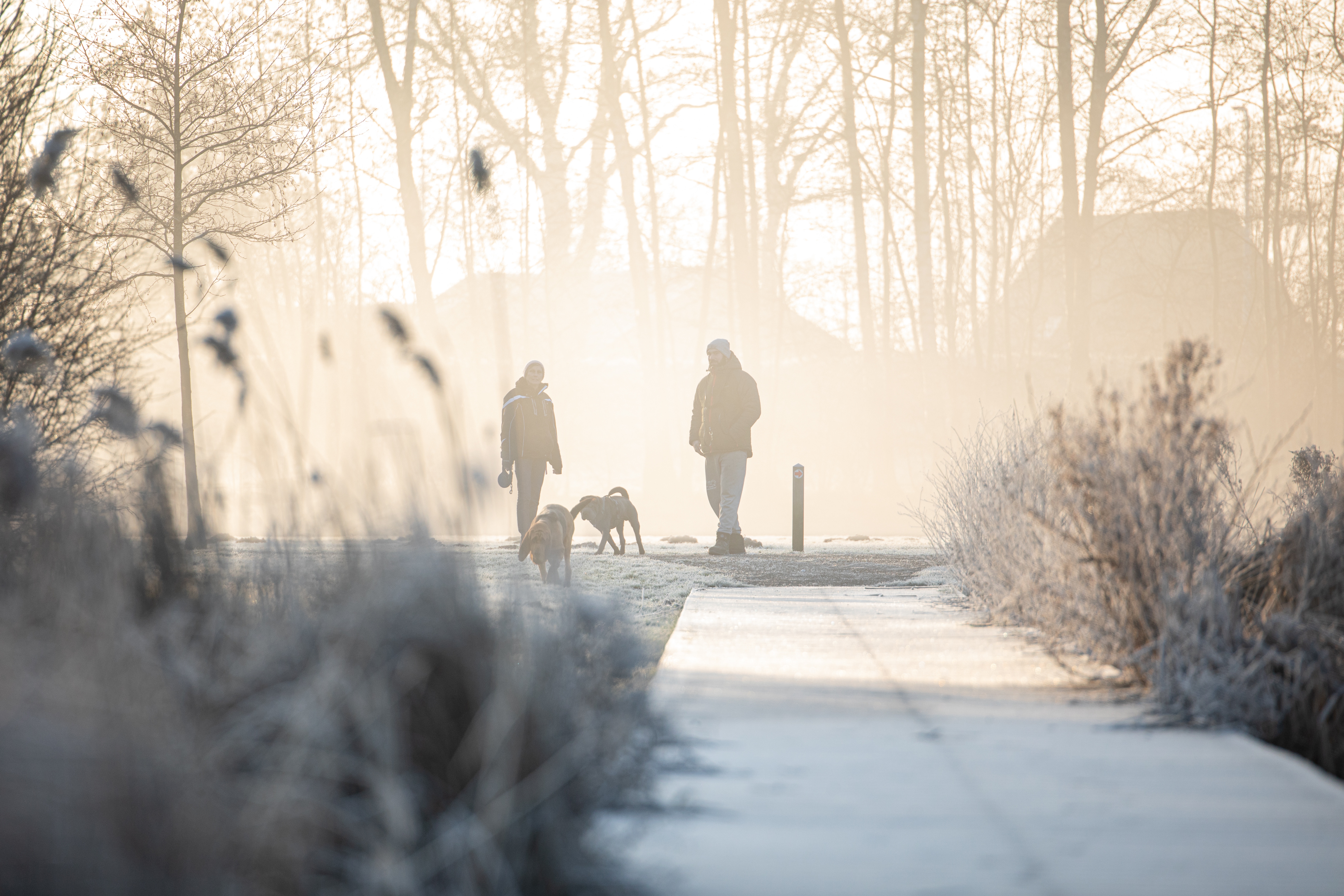 Meerdere Centimeters Sneeuw Verwacht: Dit Is Waar, Hoeveel En Hoe Laat ...