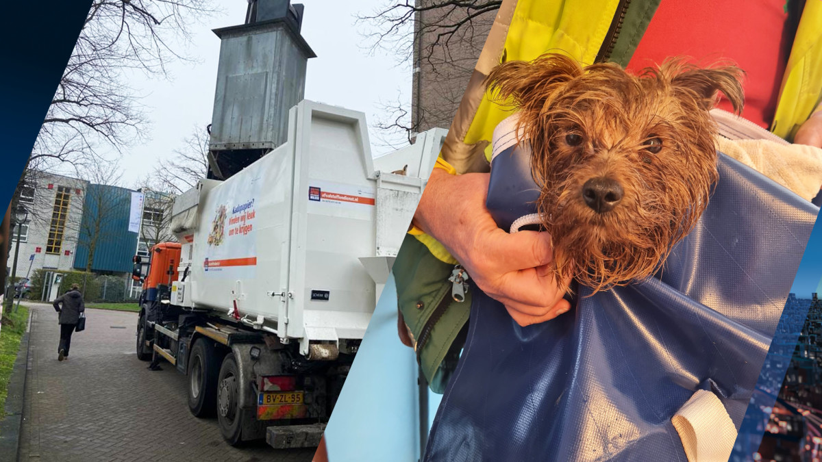 Bang en uitgedroogd hondje gevonden in ondergrondse afvalcontainer Den Bosch