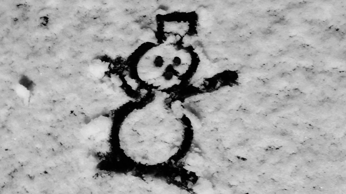 joyce sneeuwpop