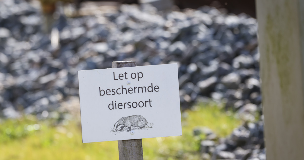 Reizigers de das omdoen tot en met 23 april geen treinen bij Molkwerum Hart van Nederland Reizigers de das omdoen tot en met 23 april geen treinen bij Molkwerum Hart van Nederland