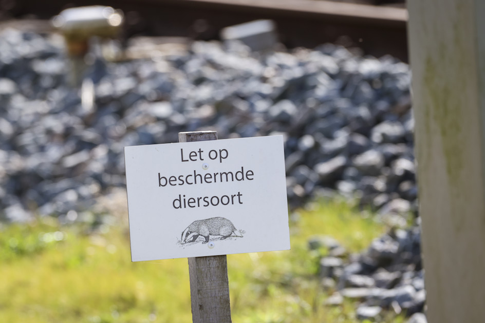 Reizigers de das omdoen tot en met 23 april geen treinen bij Molkwerum Hart van Nederland