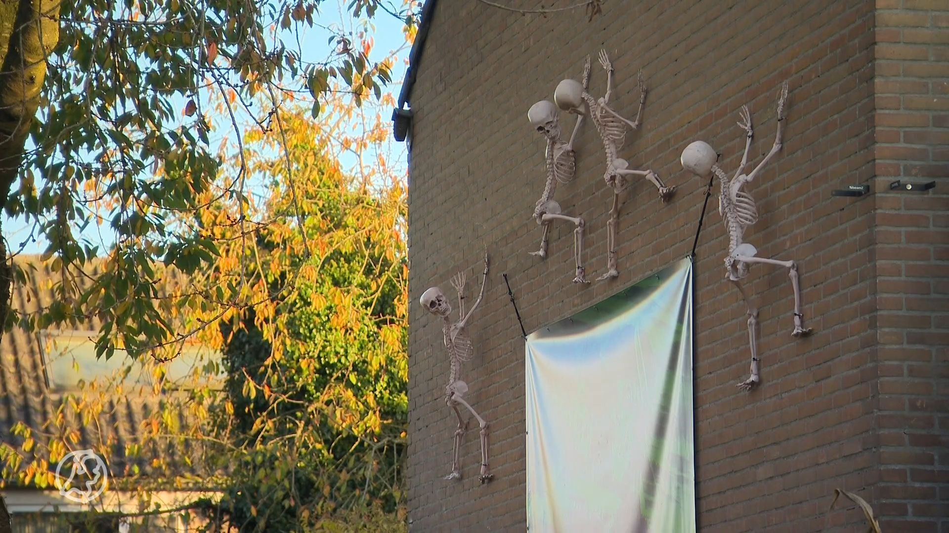 ウィリアムさん涙：3か月の準備の後、自治体は予想外にハロウィーンハウスを閉鎖