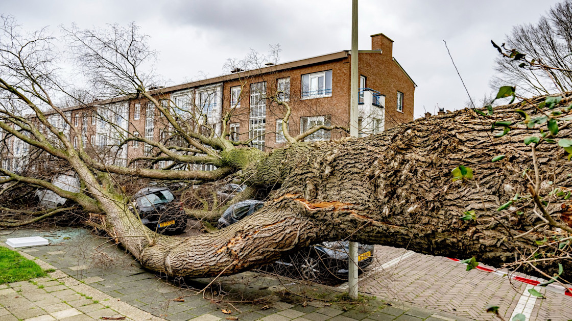 Storm Corrie voor miljoenen euro's aan schade Hart van Nederland