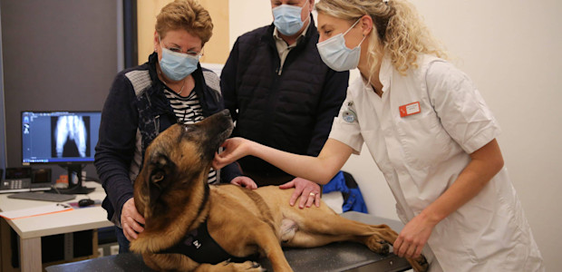 Behandeling Rax MCD Amsterdam