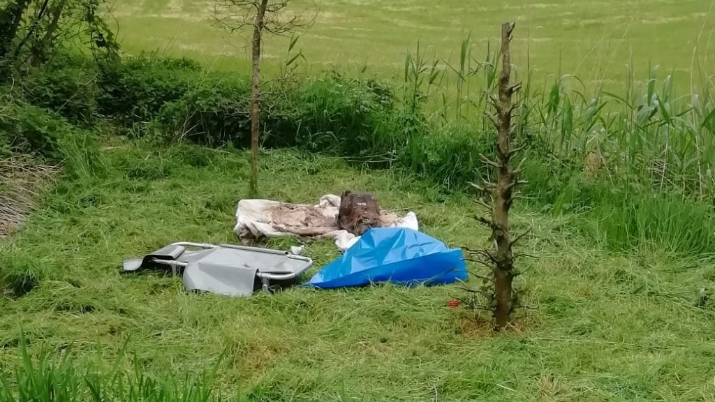 Hond 'in verregaande staat van ontbinding' gevonden: 'Hopelijk geen