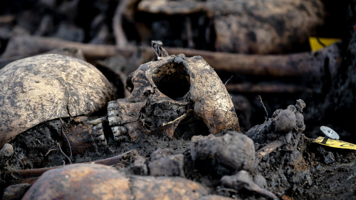 Zeldzame archeologische ontdekking in Groningen: tientallen skeletten uit 15e eeuw gevonden