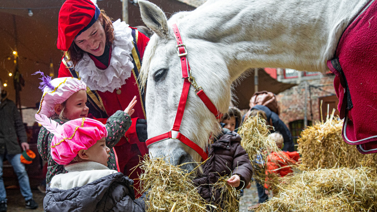 Paard van Sinterklaas overleden: 'Het was een echte filmster'