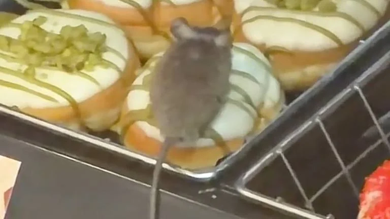 Dunkin Eindhoven mouse video leads to donut disposal