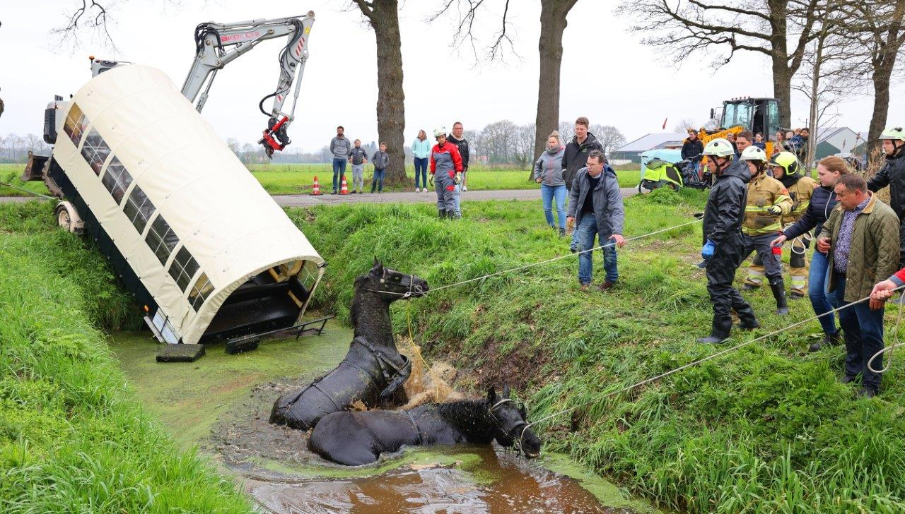 Geschrokken Paarden Belanden Met Huifkar én Menner In Berlicumse Plomp ...