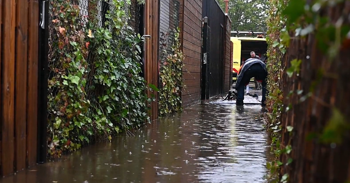 Van de regen in de drup: 2023 is het natste jaar ooit | Hart van Nederland