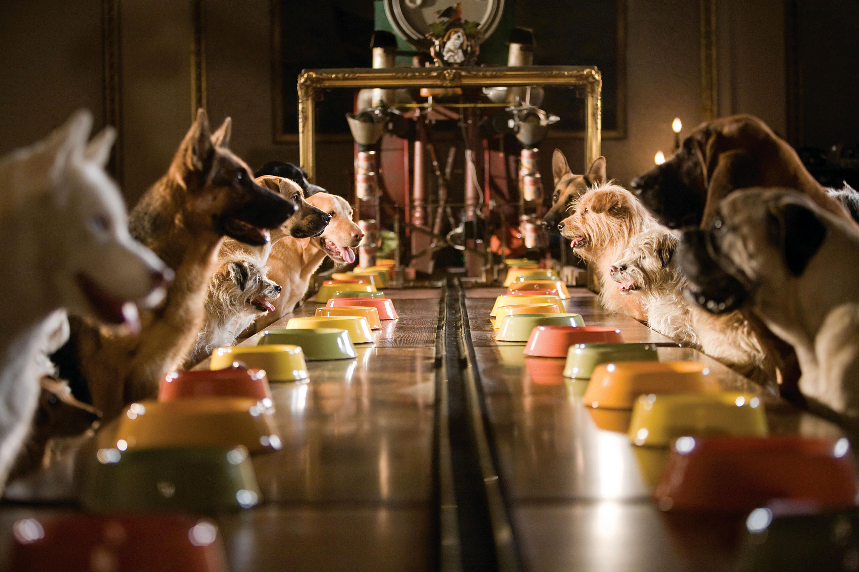 🎥 Zoom's pseudoiPad Robinhood Snacks