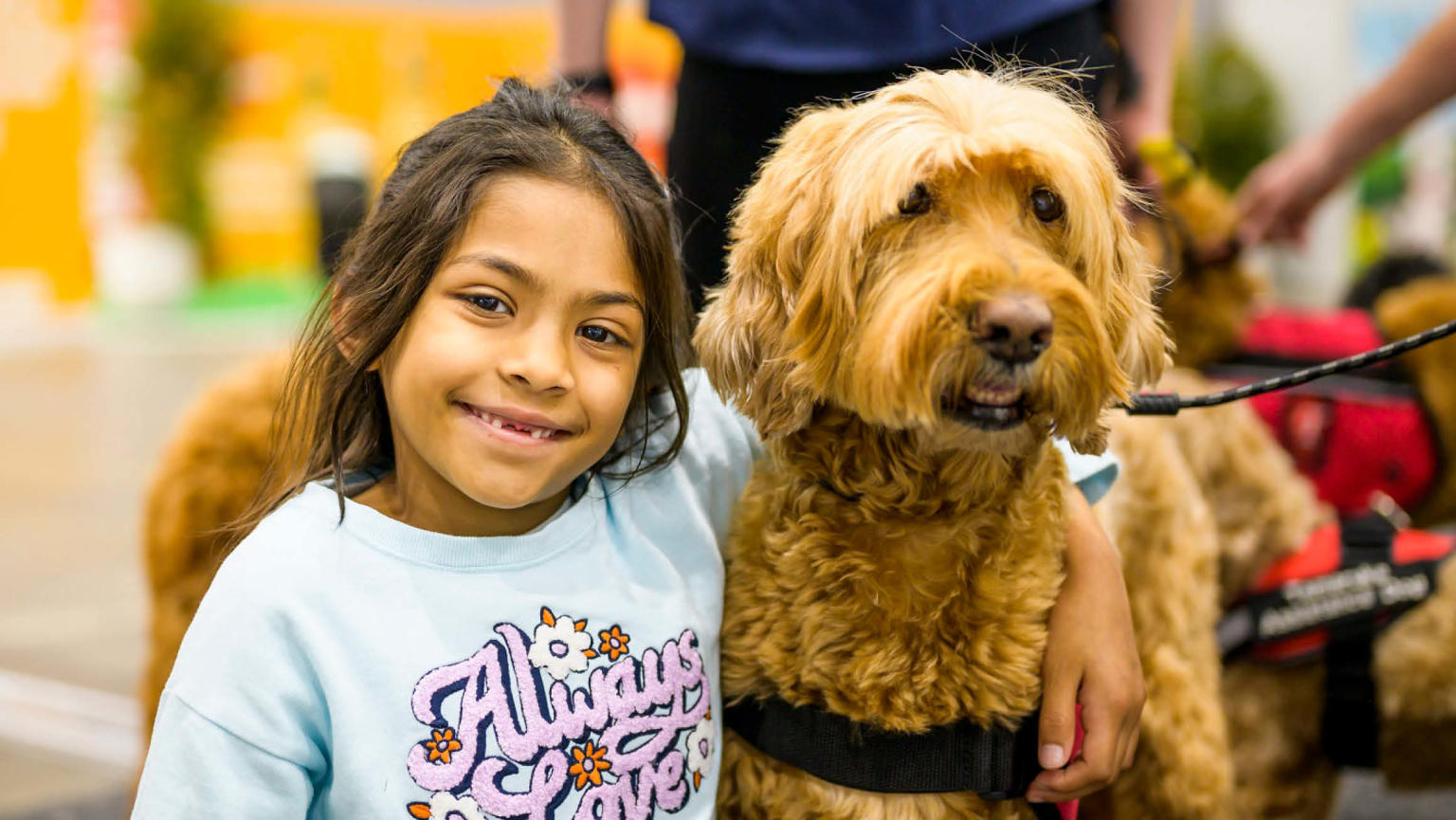 An image showing a young girl smiling with her arm around a brown dog. 