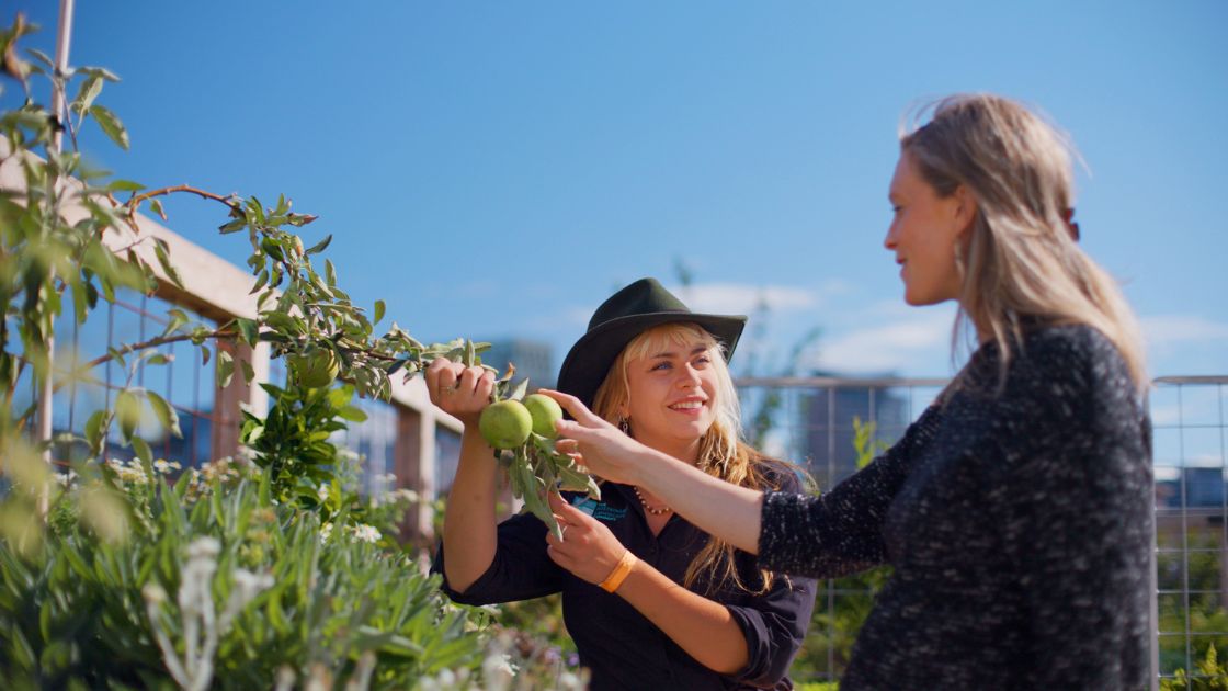 Two women talking to one another. They are outside in front of a garden. They both are reaching out for a fruit tree branch.