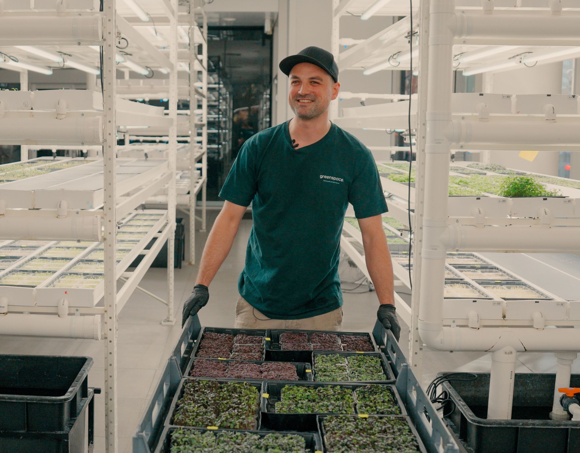 home-page-Rethinking Farm to Fork with Greenspace