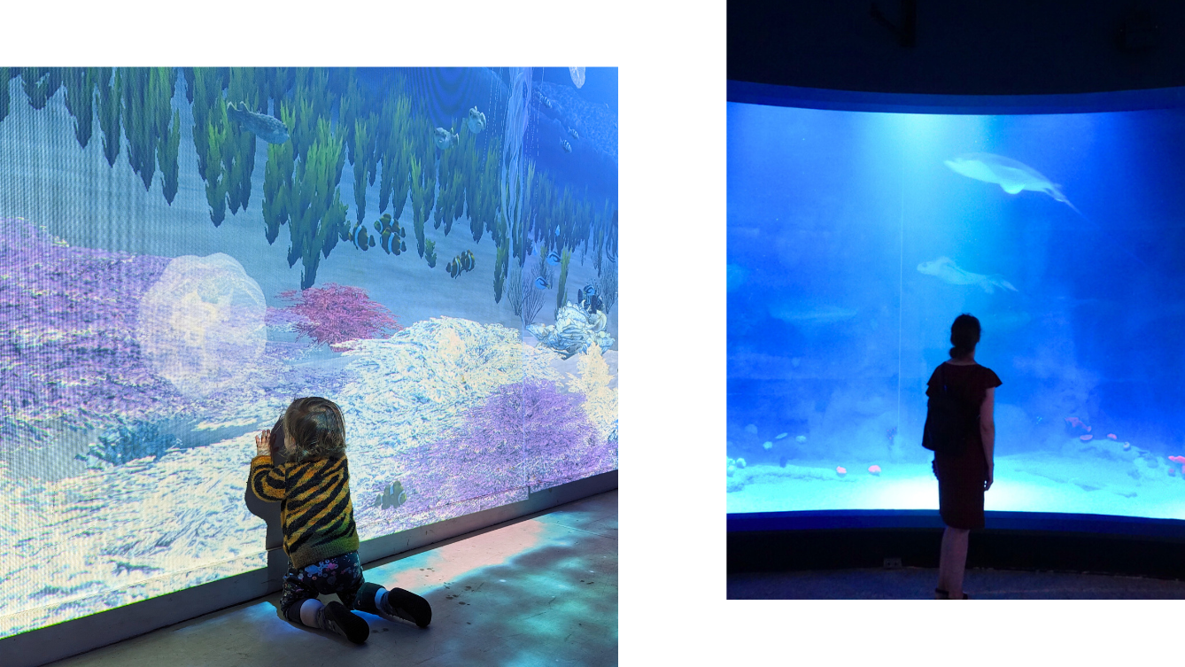 article_springs-here-lets-go_aquarium