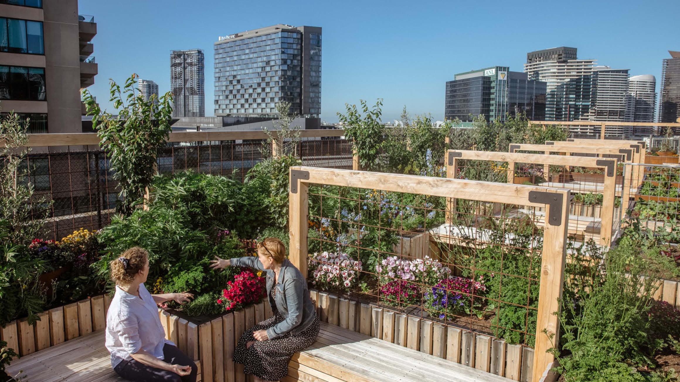 Over head view of Skyfarm with two people sitting in the foreground talking. City landscape sits in the background along with blue skies. 