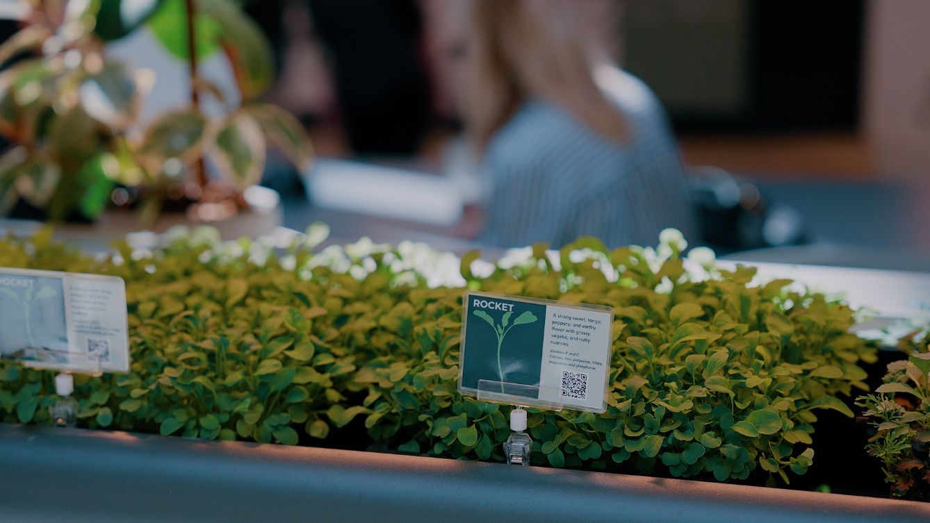 article_rethinking-farm-to-fork-with-greenspace_herbs