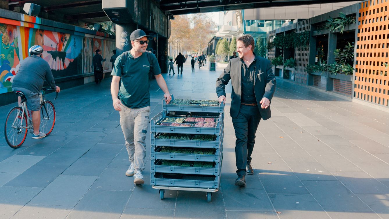 article_rethinking-farm-to-fork-with-greenspace_walk