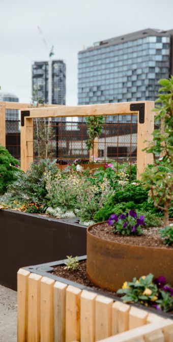 Skyfarm. Rooftop garden on a parking lot in Melbourne CBD.