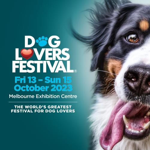 dog-lovers-festival_mobile