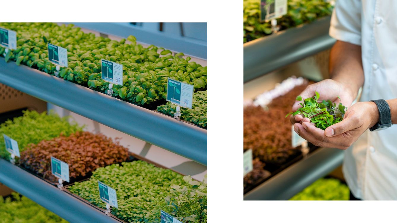 article_rethinking-farm-to-fork-with-greenspace_what