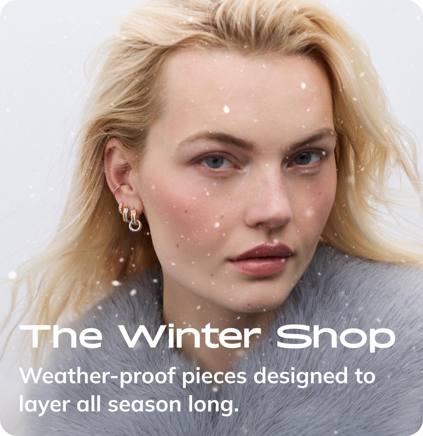 winter-shop