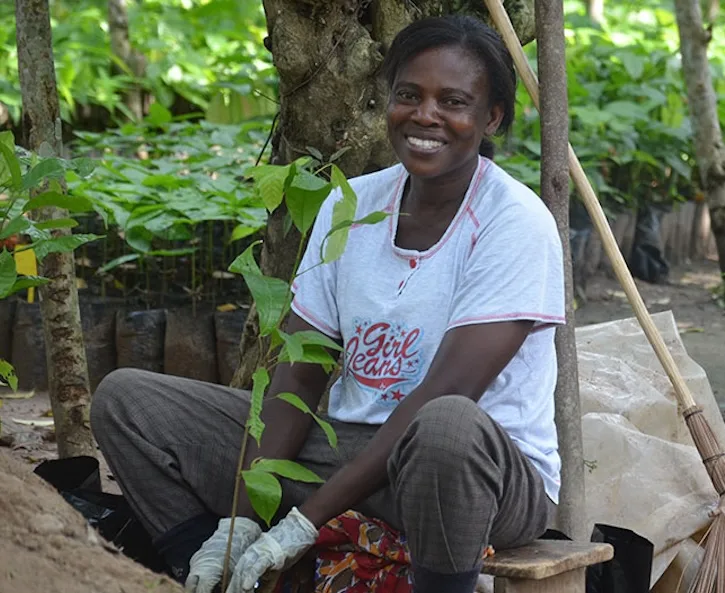 En kvinne steller et palmetre.