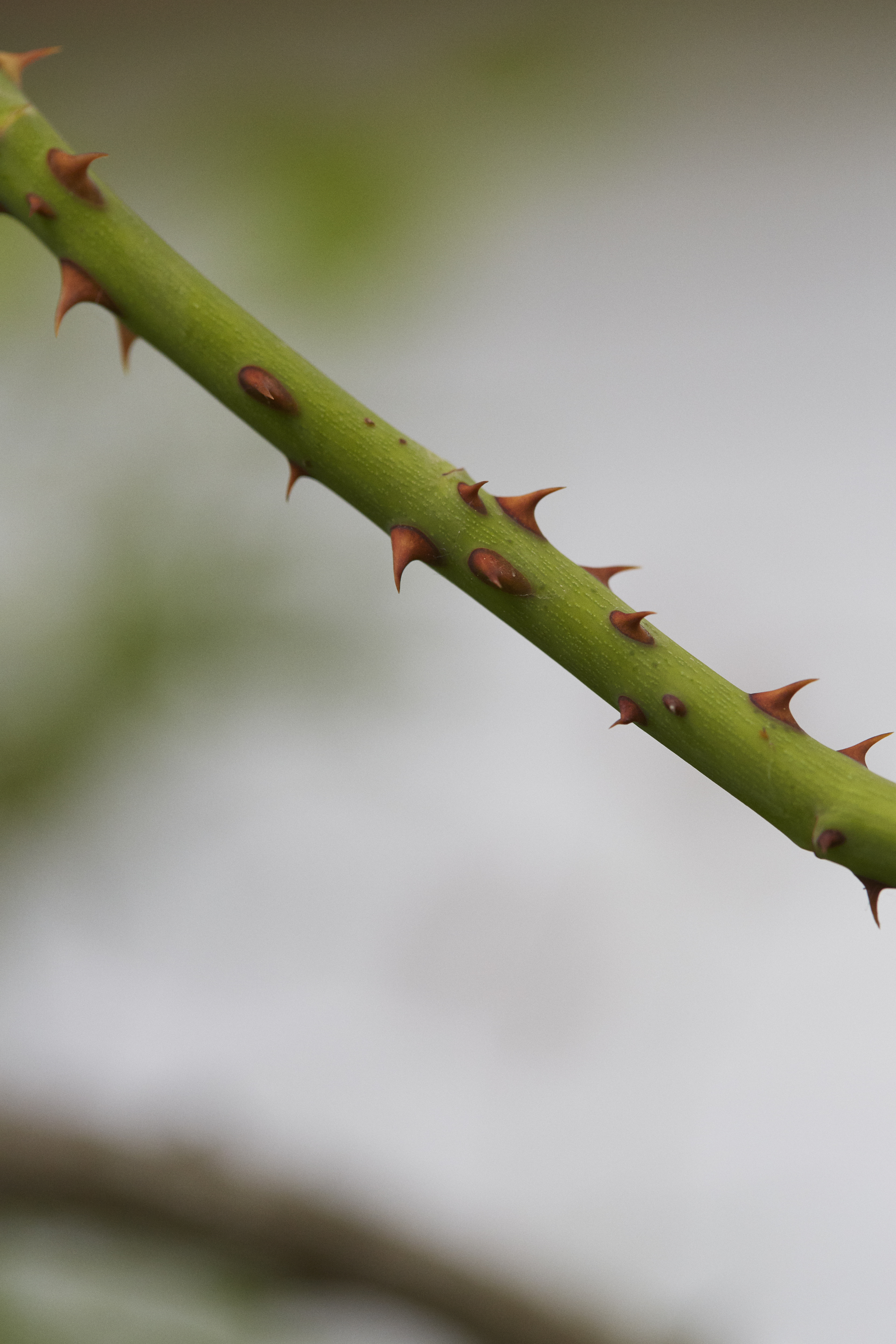 photography by Klemen Ilovar