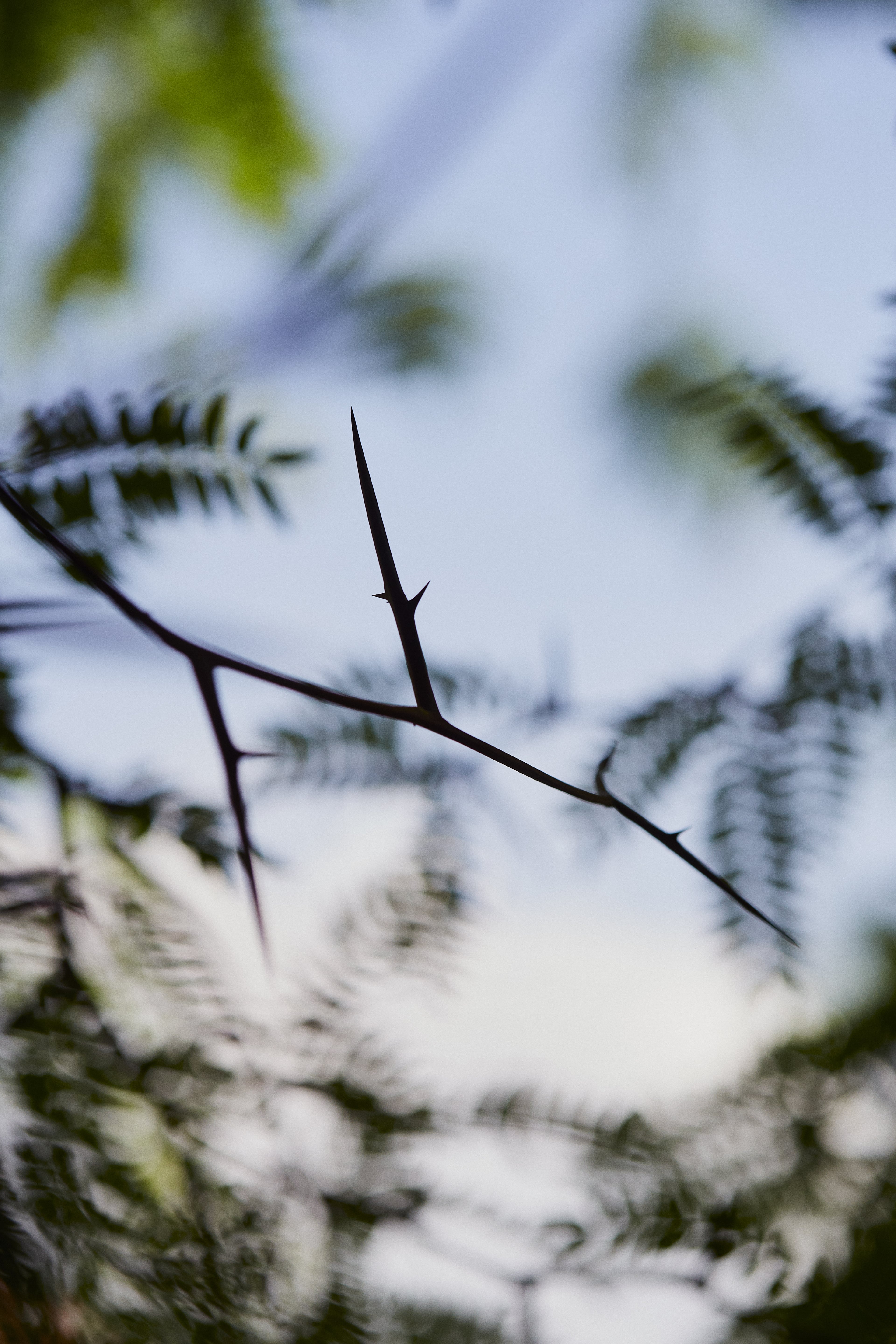 photography by Klemen Ilovar